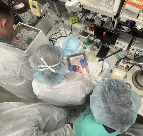 ILHHRP Website Debut